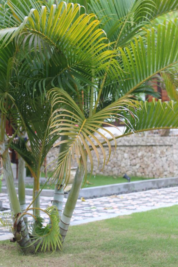Gepah Garden Cottage Nusa Penida Exteriér fotografie